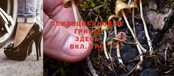 дживик Арсеньев