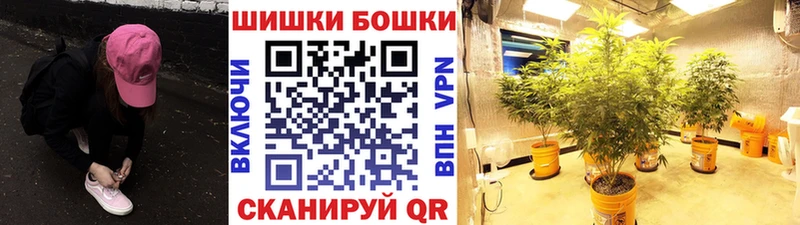 Бошки марихуана планчик купить Суздаль